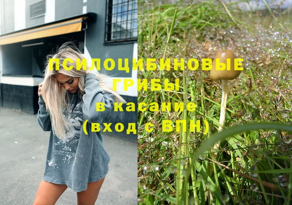бошки Нея