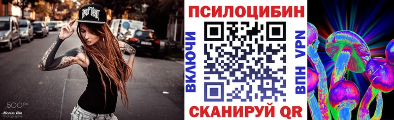 Купить  Зеленоградск  Псилоцибиновые грибы мицелий 