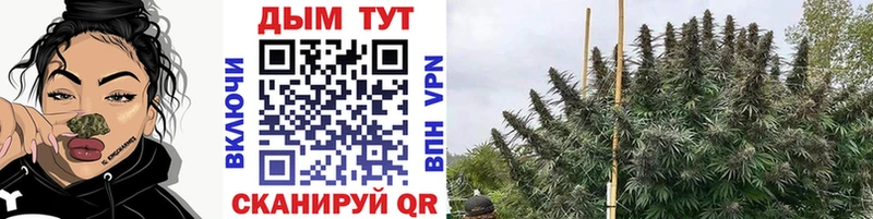 Купить закладки  Зеленоградск  Шишки марихуана ГИДРОПОН 